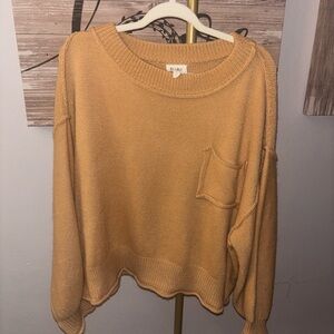 BiBi Tan Crop Crew Neck Sweater
